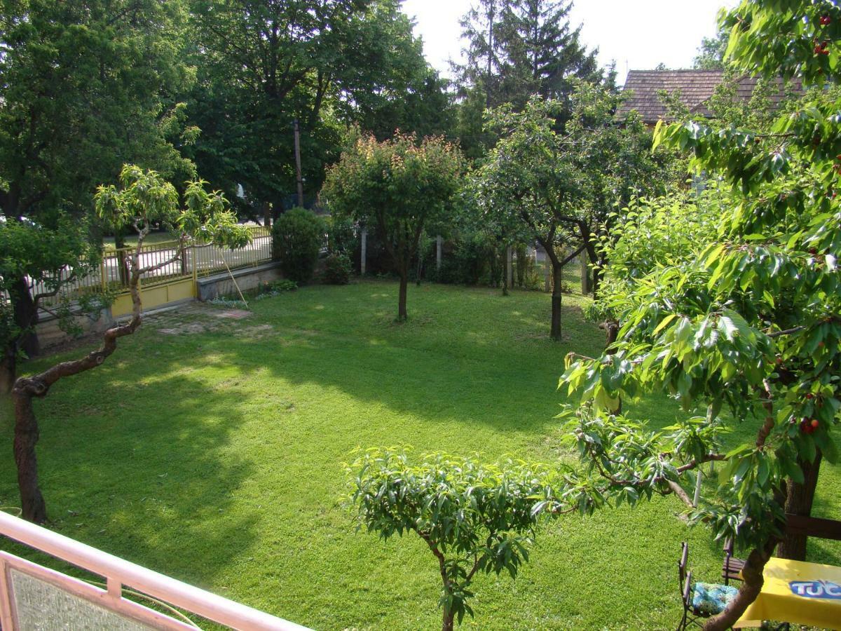 Szekely Apartman 巴拉顿菲赖德 外观 照片